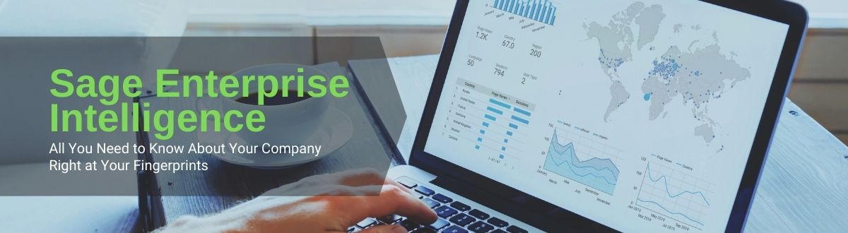 SEI Sage Enterprise Intelligence